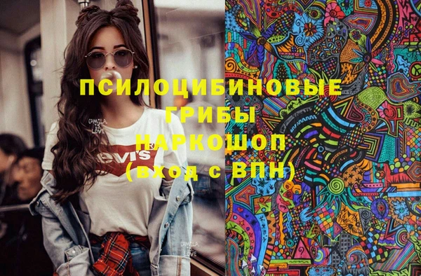 мдпв Арсеньев