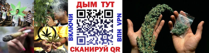 Конопля семена  Сорск 
